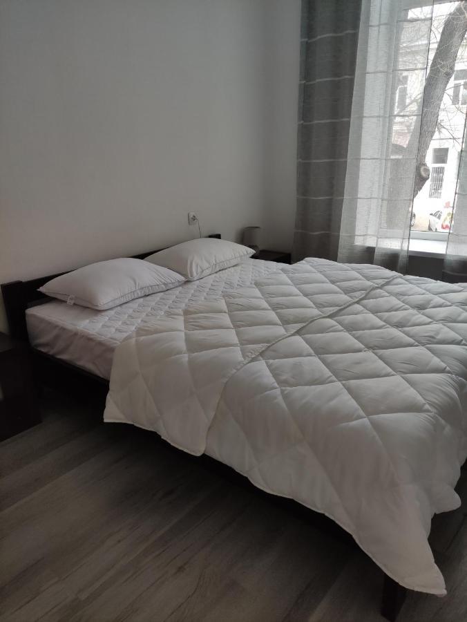 Flat in the city center 오데사 외부 사진